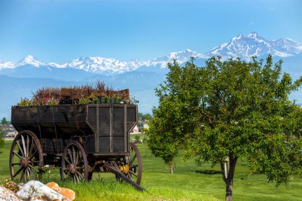 Saddleback Golf Club