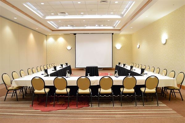 Hilton Garden Inn Atlanta Airport/Millennium Center