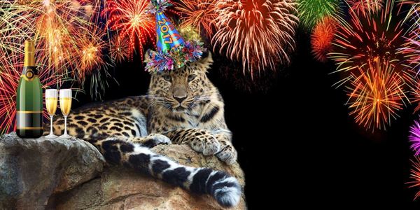 Connecticut's Beardsley Zoo