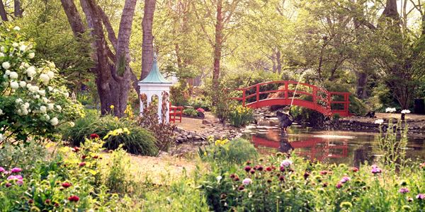 Weddings in the Grove at Richard Bland College