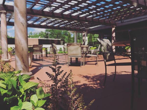 Pane Vino On The Avenue