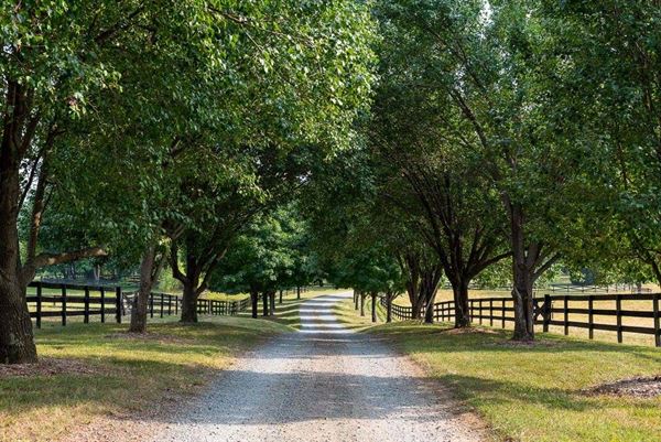 Green Springs Plantation  Anno 1772