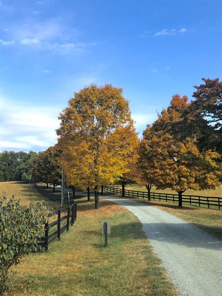 Green Springs Plantation  Anno 1772