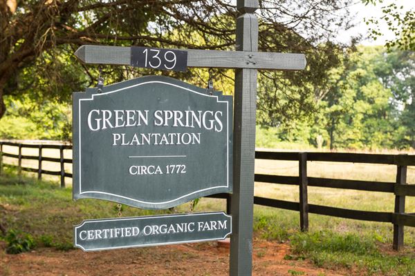 Green Springs Plantation  Anno 1772