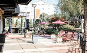 Terrace & Courtyard