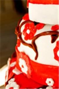 Connie Leal Photography