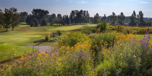 Cottonwood Golf & Country Club