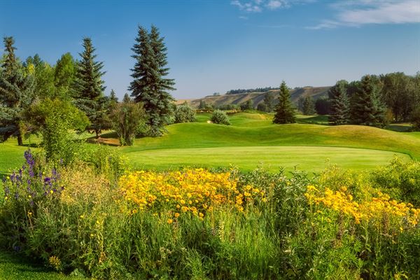 Cottonwood Golf & Country Club
