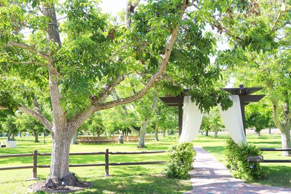 Walnut Grove Weddings at Tierra Rejada Farms