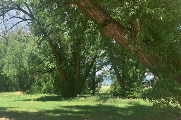 Western Museum of Mining & Industry