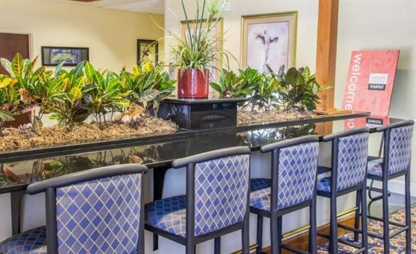 Comfort Inn & Suites