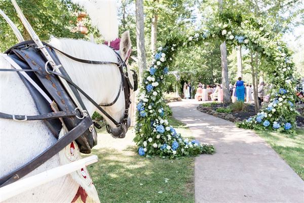 Landoll's Mohican Castle