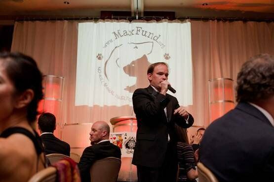 The Smart Gala Auctioneers