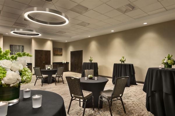 Embassy Suites Atlanta - Alpharetta