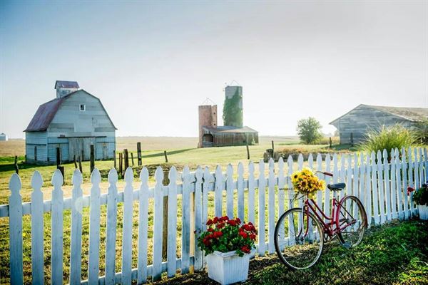 The Farmer's Daughter