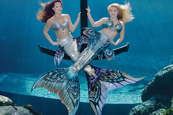 Weeki Wachee Fresh Water Adventures