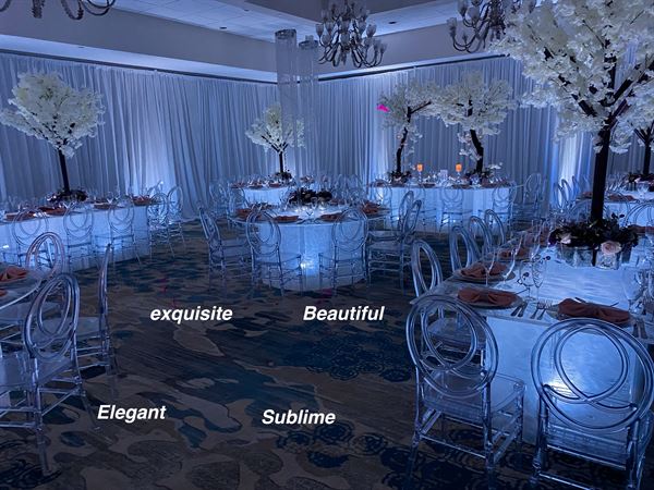 One Step Beyond Events -- Planner Services