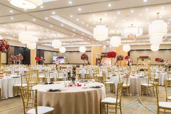 Embassy Suites Chicago-Naperville