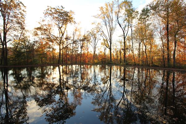 Refreshing Mountain Retreat and Adventure Center