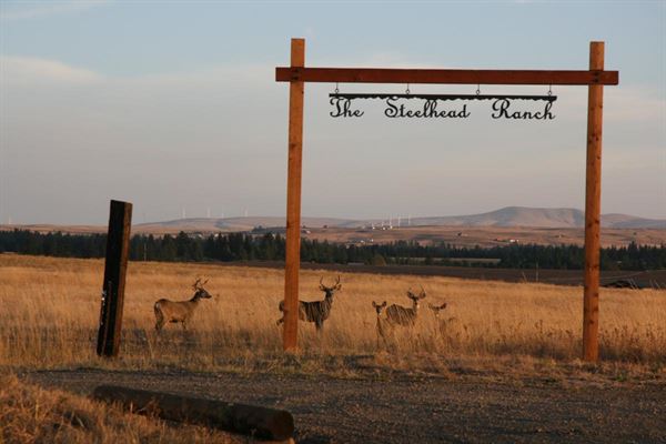 The Steelhead Ranch