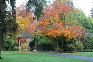 Patio & Enclosed Yard