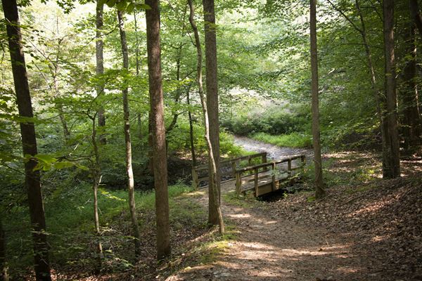James River State Park Ampitheater