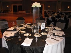 Bears Balloons & Beyond