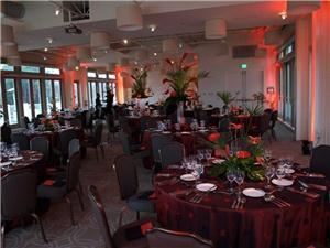 Bears Balloons & Beyond