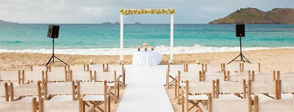 Talk of the Town Group