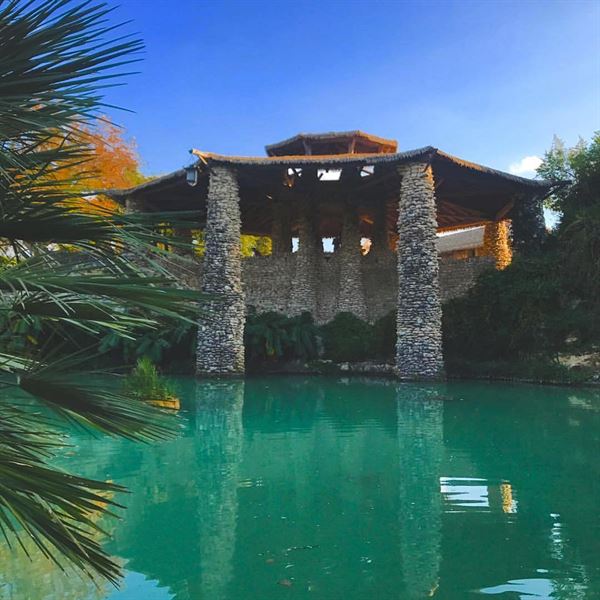 Japanese Tea Garden Jingu House