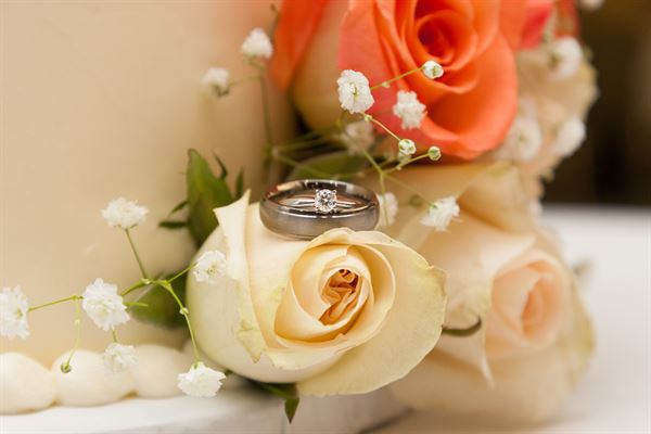 Creation Swells Photography