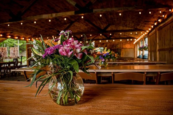 Tea Pond Lodge & Cabins