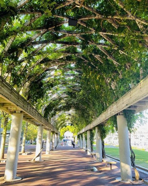 Friends of Christopher Columbus Park