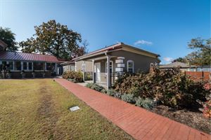 North Terrace & Lawn