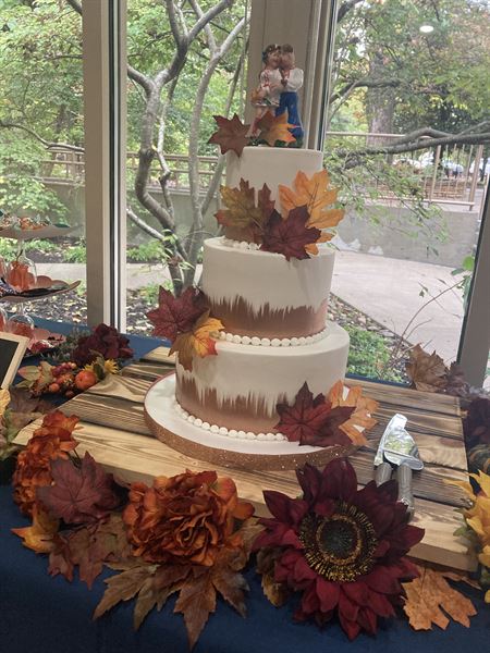 Compton Gardens & Arboretum