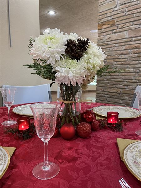 Compton Gardens & Arboretum