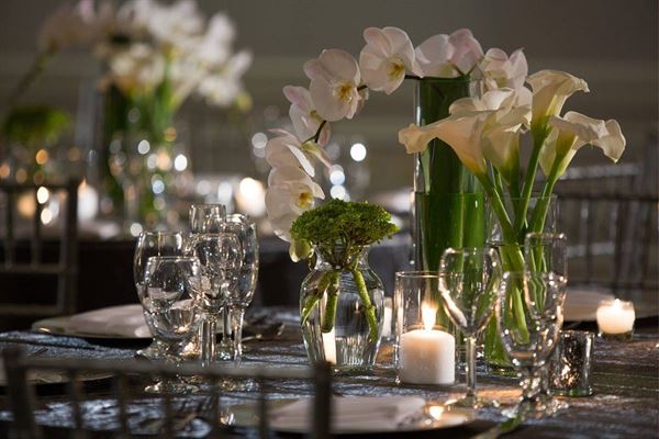 Renaissance Meadowlands