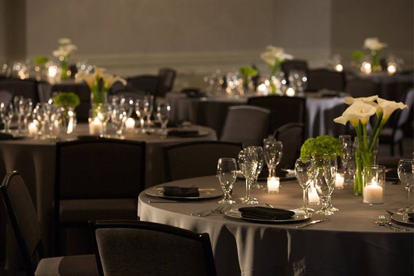 Renaissance Meadowlands