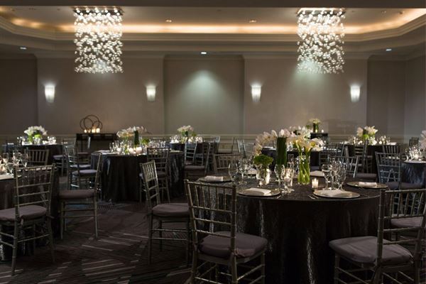 Renaissance Meadowlands