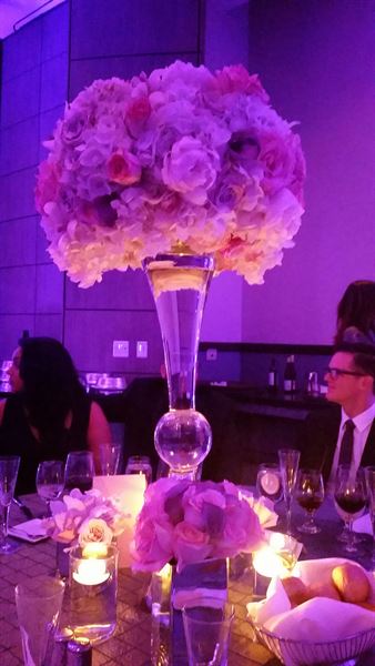 Elevate Event Agency