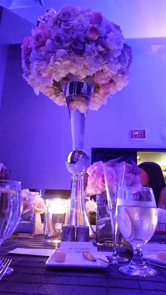 Elevate Event Agency