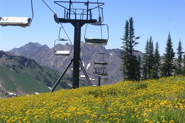 Alta's Rustler Lodge