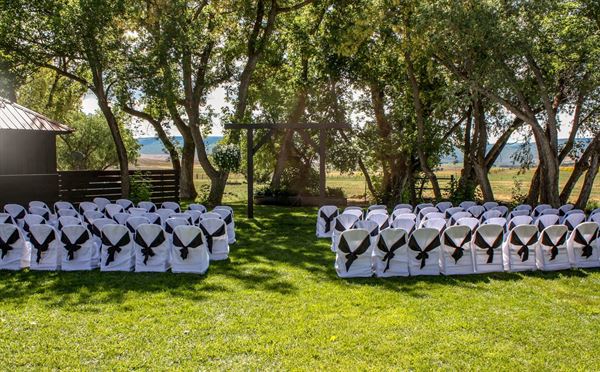 Bar 7 Bed Bath and Barn