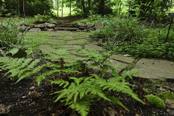 The West Virginia Botanic Garden