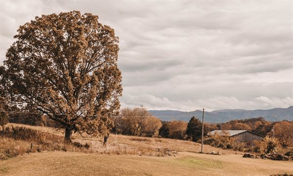 Greenwood Oaks Venue and Gardens