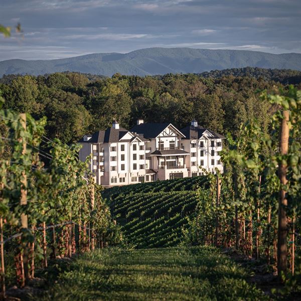 Nicewonder Farm & Vineyards