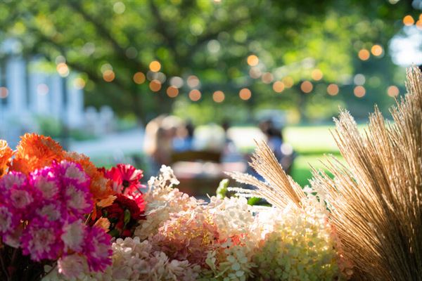 Nicewonder Farm & Vineyards