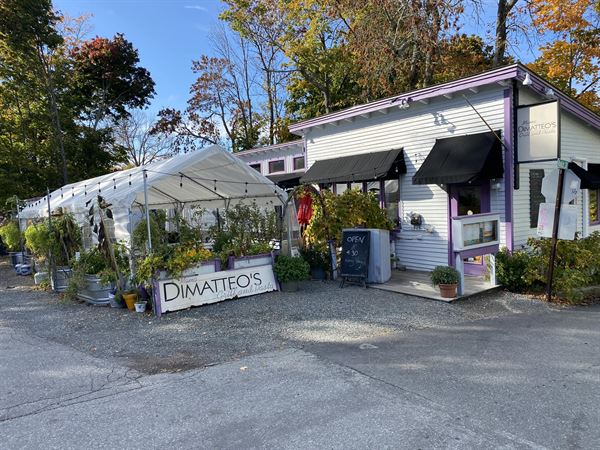 Mama DiMatteo's
