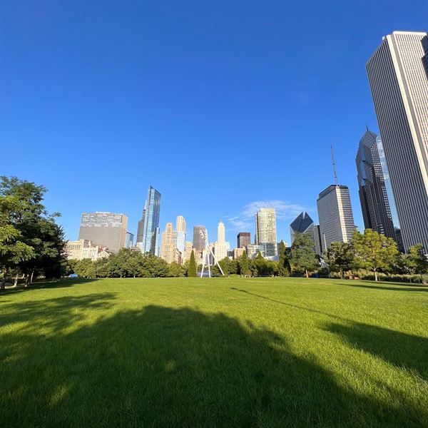 Maggie Daley Park
