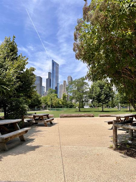 Maggie Daley Park